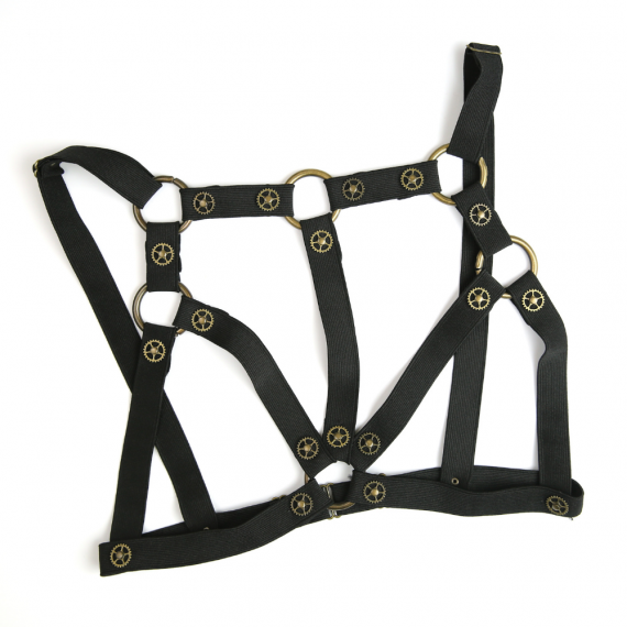 steampunk harness