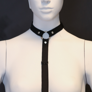 rhinestone harness