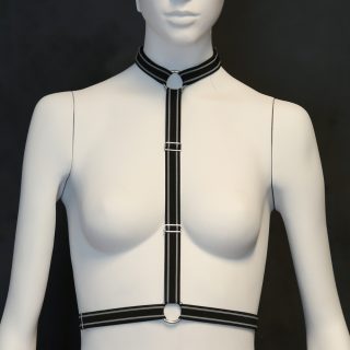 body harness top